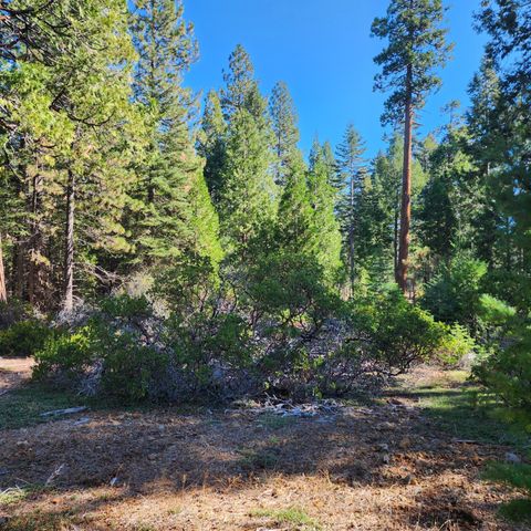 CA-44, Shingletown, CA 96088