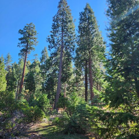 CA-44, Shingletown, CA 96088