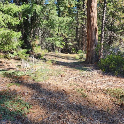 CA-44, Shingletown, CA 96088