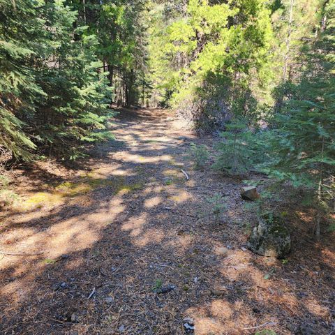 CA-44, Shingletown, CA 96088