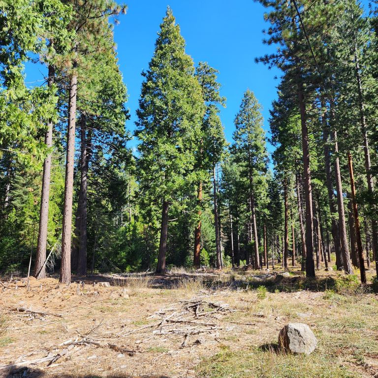 CA-44, Shingletown, CA 96088