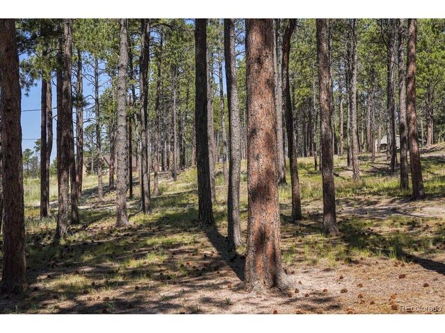 13290 Pinery Dr, Colorado Springs, CO 80908
