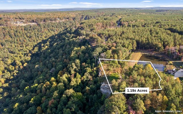 22 Moonshine Drive, Jasper, TN 37347
