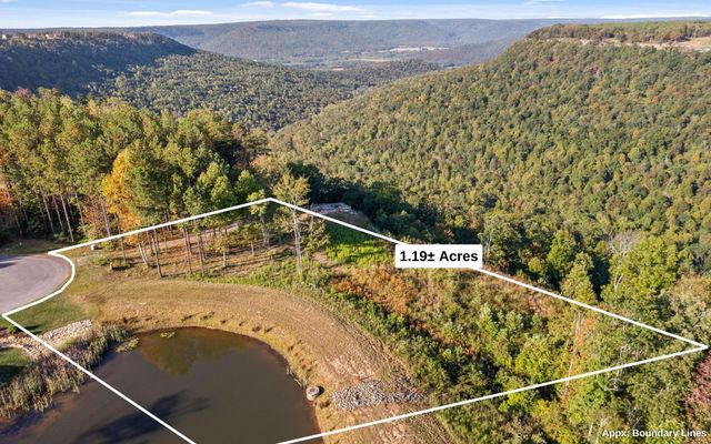 22 Moonshine Drive, Jasper, TN 37347