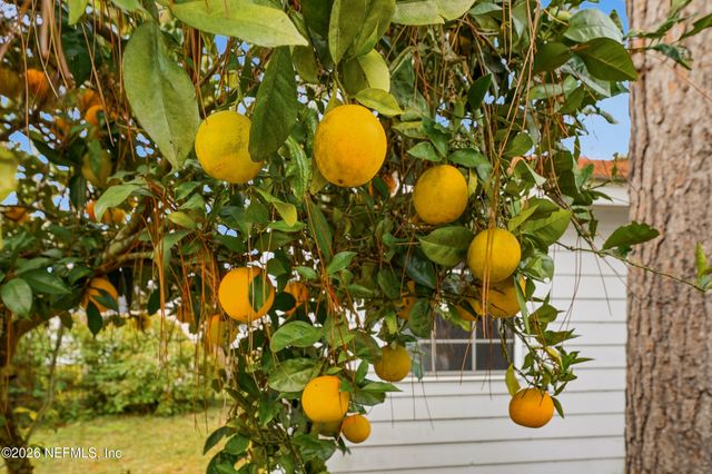 30435 FOREST PARKE Drive, Fernandina Beach, FL 32034