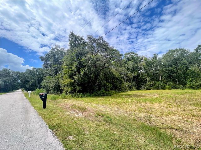 3317 E Griffin Street, Inverness, FL 34453