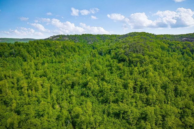 1687 Delk Creek Rd, Pall Mall, TN 38577