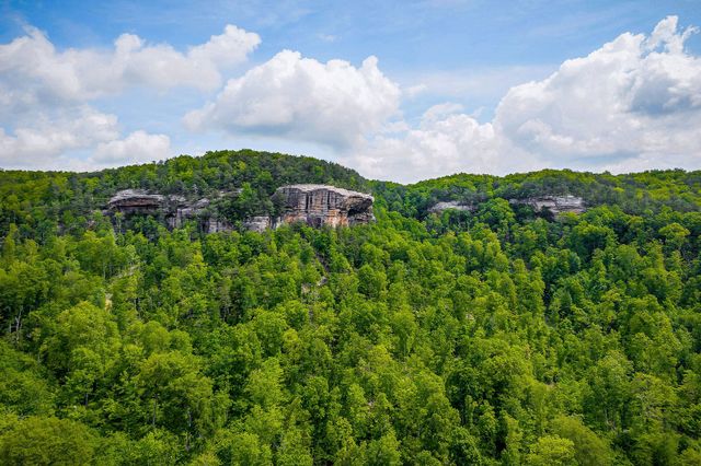 1687 Delk Creek Rd, Pall Mall, TN 38577