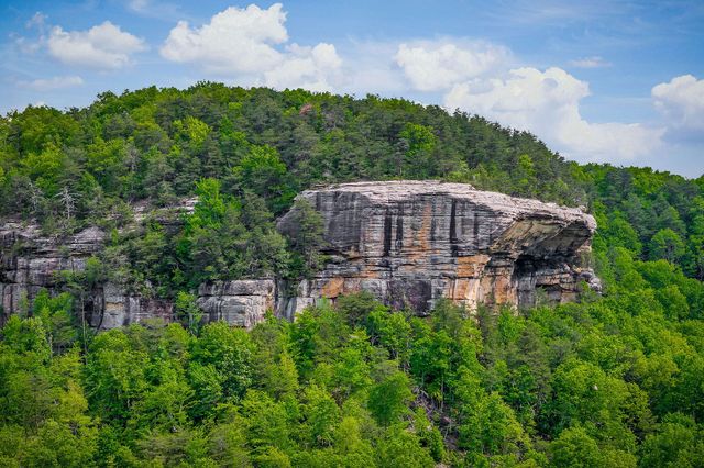 1687 Delk Creek Rd, Pall Mall, TN 38577