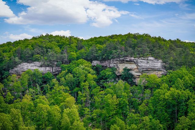 1687 Delk Creek Rd, Pall Mall, TN 38577