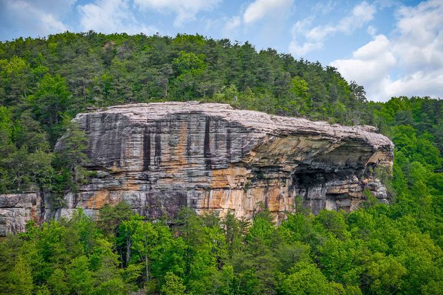 1687 Delk Creek Rd, Pall Mall, TN 38577