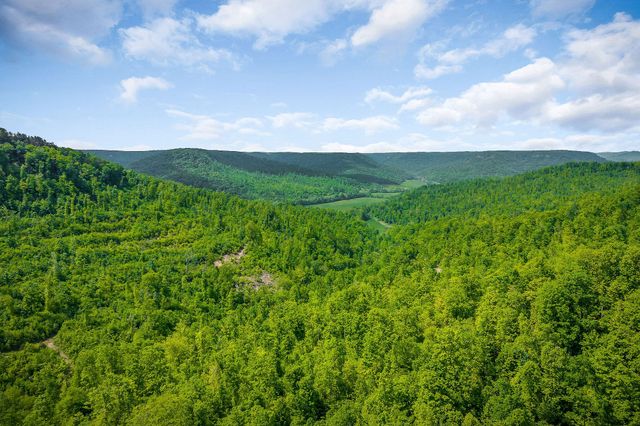 1687 Delk Creek Rd, Pall Mall, TN 38577