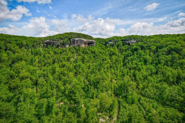 1687 Delk Creek Rd, Pall Mall, TN 38577