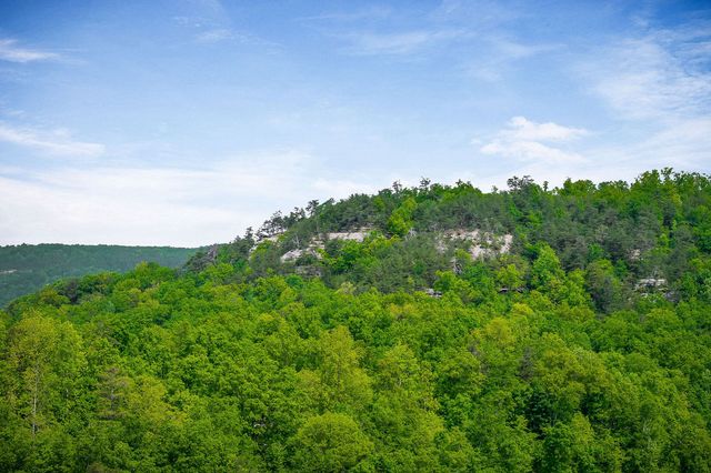 1687 Delk Creek Rd, Pall Mall, TN 38577