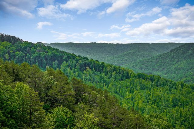 1687 Delk Creek Rd, Pall Mall, TN 38577