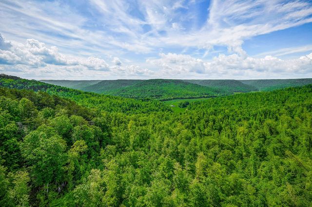 1687 Delk Creek Rd, Pall Mall, TN 38577