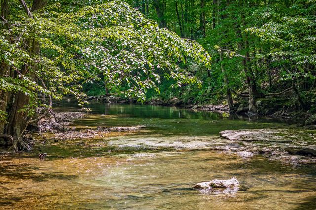 1687 Delk Creek Rd, Pall Mall, TN 38577