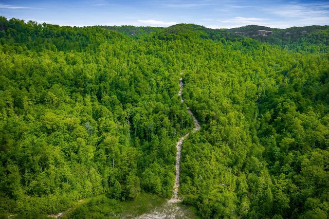 1687 Delk Creek Rd, Pall Mall, TN 38577