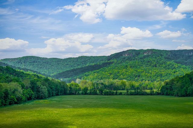 1687 Delk Creek Rd, Pall Mall, TN 38577