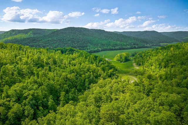 1687 Delk Creek Rd, Pall Mall, TN 38577