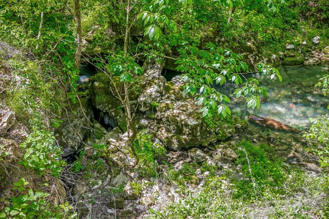 1687 Delk Creek Rd, Pall Mall, TN 38577