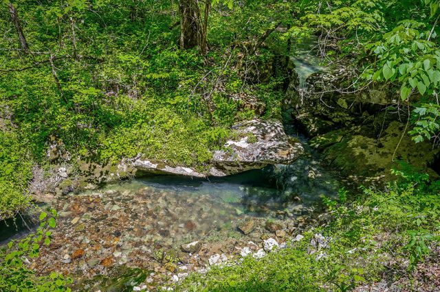 1687 Delk Creek Rd, Pall Mall, TN 38577