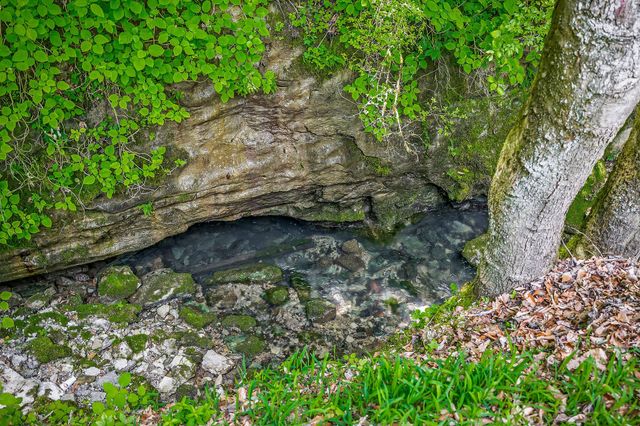 1687 Delk Creek Rd, Pall Mall, TN 38577