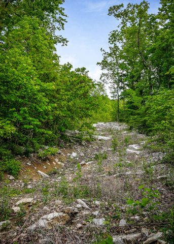 1687 Delk Creek Rd, Pall Mall, TN 38577