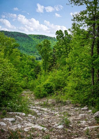 1687 Delk Creek Rd, Pall Mall, TN 38577