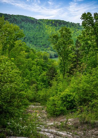 1687 Delk Creek Rd, Pall Mall, TN 38577