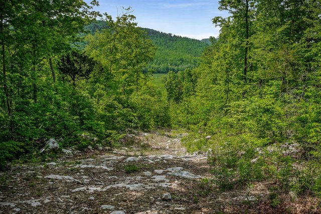 1687 Delk Creek Rd, Pall Mall, TN 38577