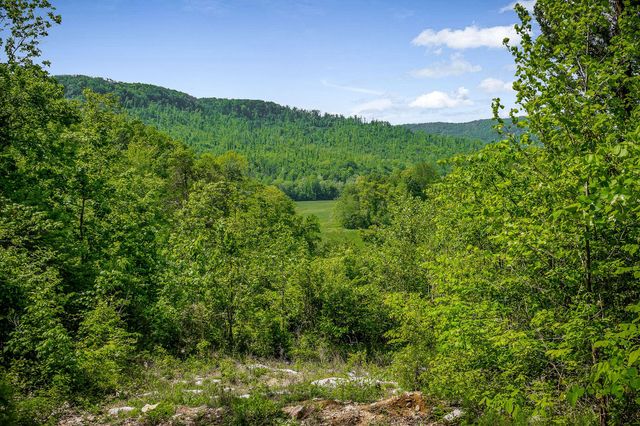 1687 Delk Creek Rd, Pall Mall, TN 38577