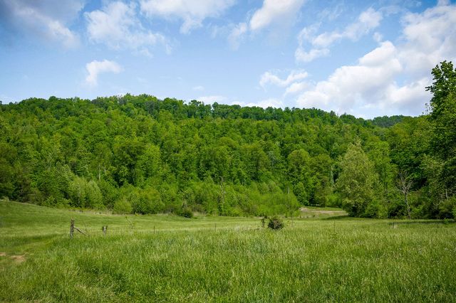 1687 Delk Creek Rd, Pall Mall, TN 38577