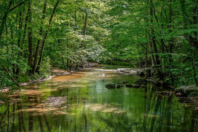 1687 Delk Creek Rd, Pall Mall, TN 38577