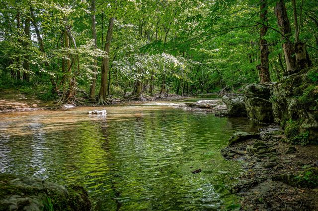 1687 Delk Creek Rd, Pall Mall, TN 38577