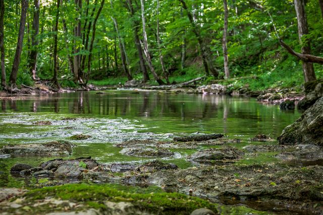 1687 Delk Creek Rd, Pall Mall, TN 38577