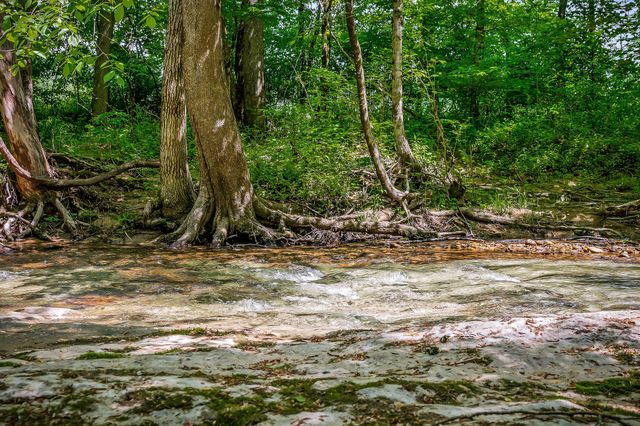 1687 Delk Creek Rd, Pall Mall, TN 38577