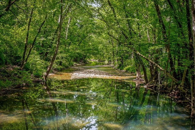 1687 Delk Creek Rd, Pall Mall, TN 38577