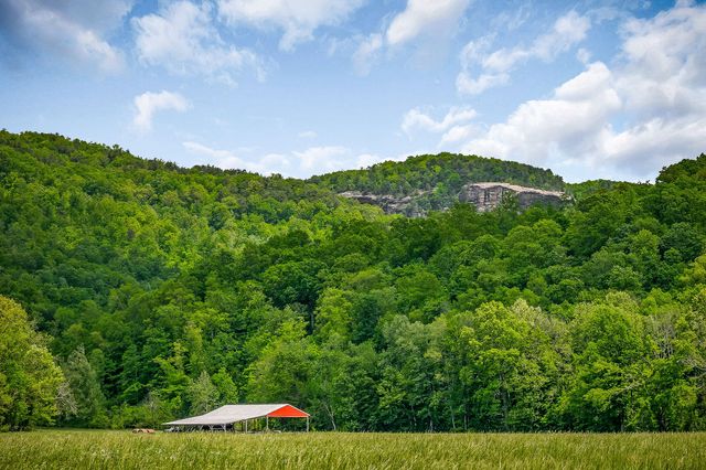 1687 Delk Creek Rd, Pall Mall, TN 38577