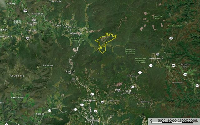 1687 Delk Creek Rd, Pall Mall, TN 38577