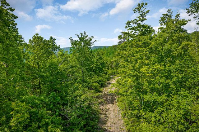 1687 Delk Creek Rd, Pall Mall, TN 38577