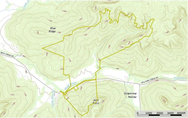 1687 Delk Creek Rd, Pall Mall, TN 38577