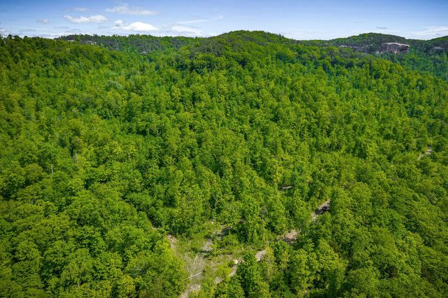 1687 Delk Creek Rd, Pall Mall, TN 38577