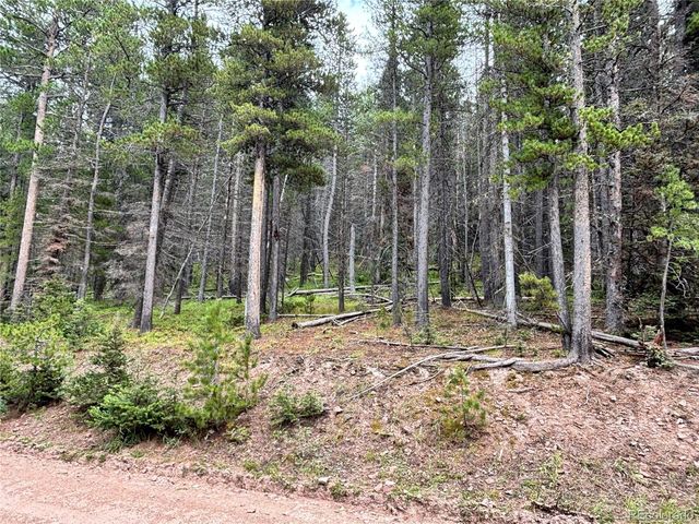 00 Moir Drive, Fort Garland, CO 81133