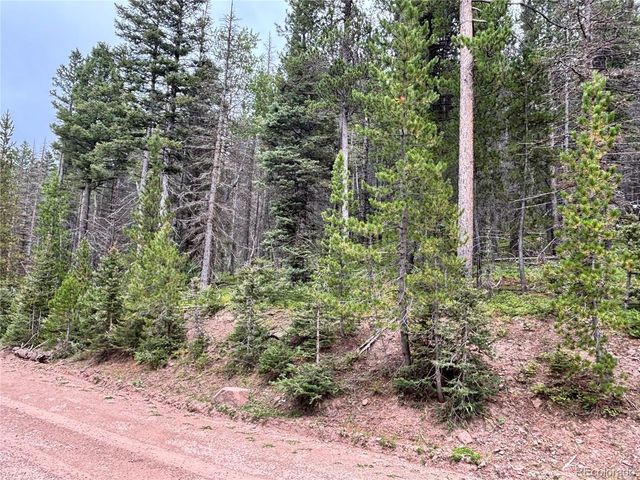 00 Moir Drive, Fort Garland, CO 81133