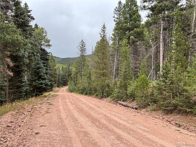 00 Moir Drive, Fort Garland, CO 81133