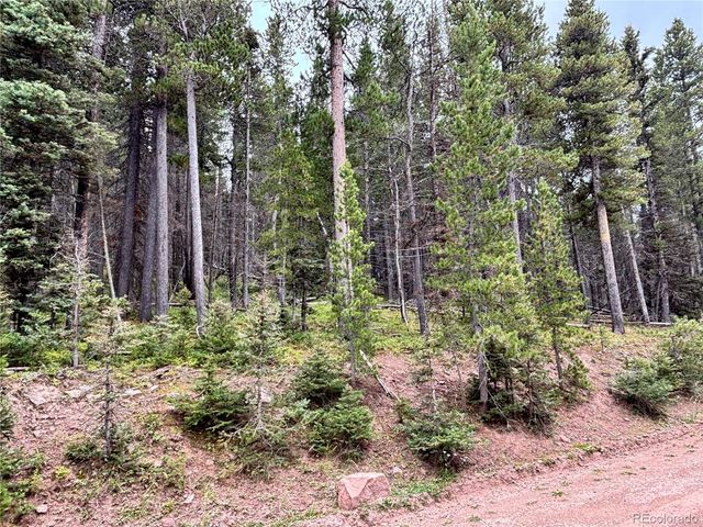 00 Moir Drive, Fort Garland, CO 81133