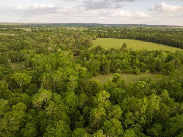 169 Fm 1696, Huntsville, TX 77340