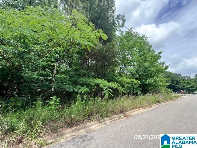 213 MELBOURNE CIRCLE, Birmingham, AL 35022