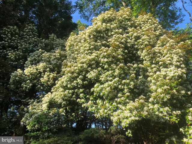 2568 FOREST KNL, Annapolis, MD 21401